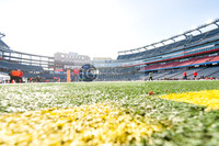 191229_ET_JGI_PATSG17_0033