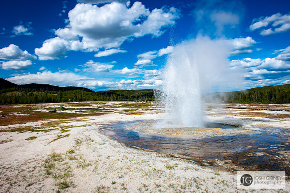Yellowstone National Park