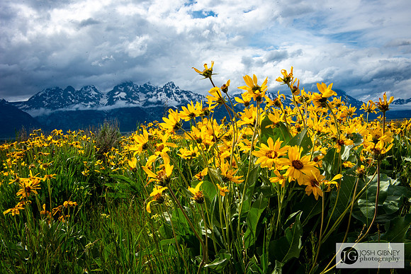 Grand Teton National Park
