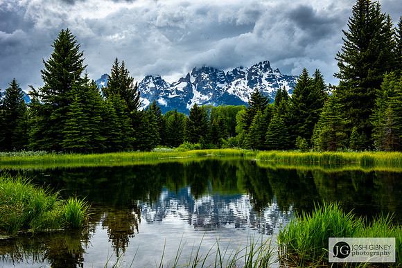 Schwabacher Landing - Grand Teton National Park