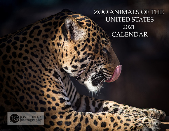 Cover_190211_PHXZoo_JDG0180